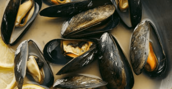 Mussels.png